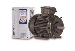 Asynchronous electric motors WEG W22