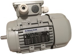 المحركات الكهربائية غير المتزامنة أس-موتورين إف سي إم إي 2