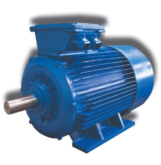 Domestic electric motors VEMZ 5AM315