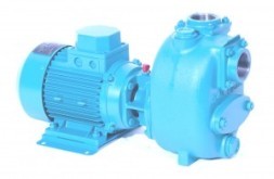 Sivag Pumpen S Centrifugal Pumps