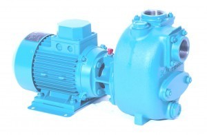 Sivag Pumpen S Centrifugal Pumps
