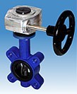 Затвор поворотный ARI-ZESA  22.012 DN125 PN16 с ред к.чугун/нерж.сталь/EPDM мф