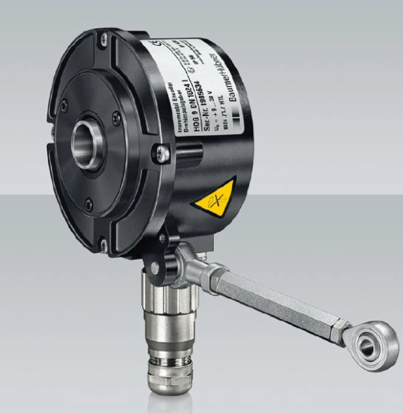 بومر هوبنر خنزير 9 التشفير