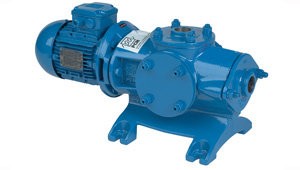 6M6S Ecomoineau Screw Pump (tm) M