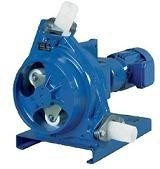 Delasco Series PCM Peristaltic Pump (Delasco)