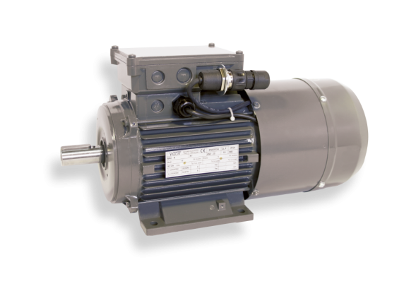 Asynchronous servomotors Vascat MAC R