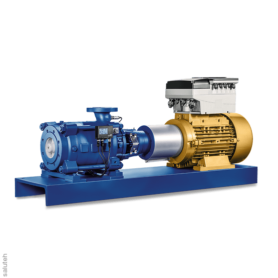 Multistage Centrifugal Multitec 200 /250