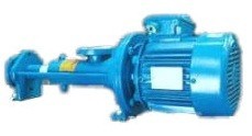 1I10 Moineau Series I Screw Pump
