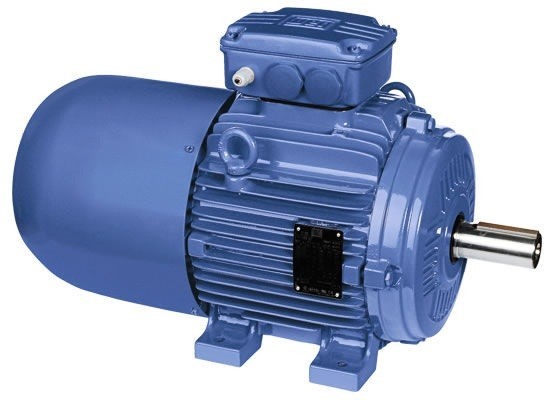 Crane electric motors WEG W21/W22