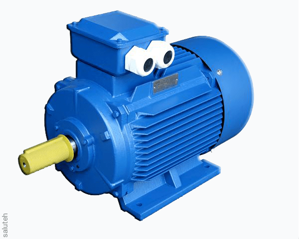 Electric motor (1081 paws) Air pressure 225 M 55 kW 2960 rpm 230kg