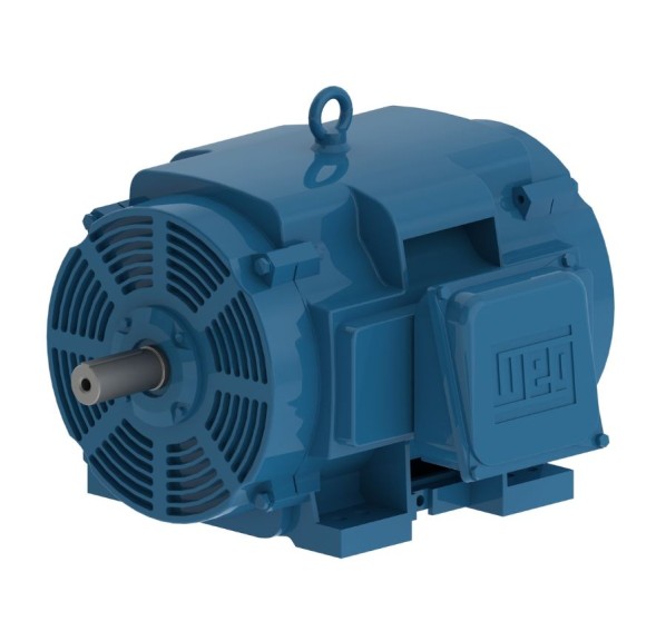 Asynchronous electric motors WEG ODP