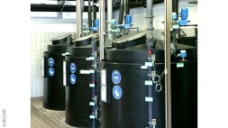 ليكيفانت إس فتل 70-فغ 2 أب 6 غ 6ان مستوى الاستشعار