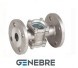 Genebre viewing glass, stainless steel. steel flange