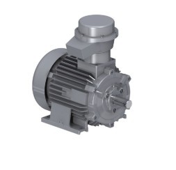 Explosion-proof WEG BFGC engines