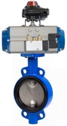 505WM P ADE Butterfly valve mf Xurox PN16 1.4408/1.4408/Metal with pneumatic actuator 5800