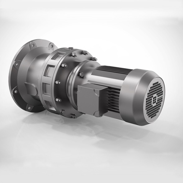 Cycloidal gear motor BLD1 i=29 1.1kW customized output shaftD=φ40mm, length L=52mm