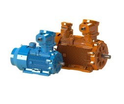 Explosion-proof WEG W22 Xd RB Rib-Cooled Engines