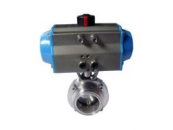 DF Disc sanitary valve (butterfly valve) ISO S.S.316/EPDM with pneumatic actuator welding/welding