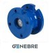 Genebre non-return disc valve, GG25 /44100 /NBR Tmax=+110oC flanged
