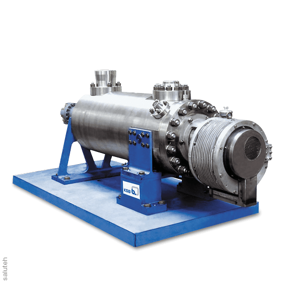 RHM Horizontal Multistage Pump