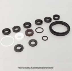 Repair Kit Service-Set, G2&quot;-DN50, PTFE, SK63
