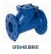 Genebre PN16 GGG40/44100/NBR non-return ball valve Tmax=+80oC flanged
