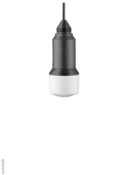 VEGAPULS WLS61 PSWL61.XXBXXDKAX level gauge