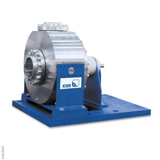 Horizontal pump with ring housing RHR