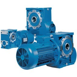 روسي علبة التروس دودة