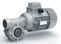 Червячный мотор-редуктор в круглом корпусе VF44(i=10)IEC63B14/GL-63M4-4 0,37kW, 230/400V AC, 1400/min, 50Hz, IM B14, F, IP55