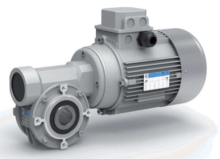 Червячный мотор-редуктор в круглом корпусе VF44(i=10)IEC63B14/GL-63M4-4 0,37kW, 230/400V AC, 1400/min, 50Hz, IM B14, F, IP55