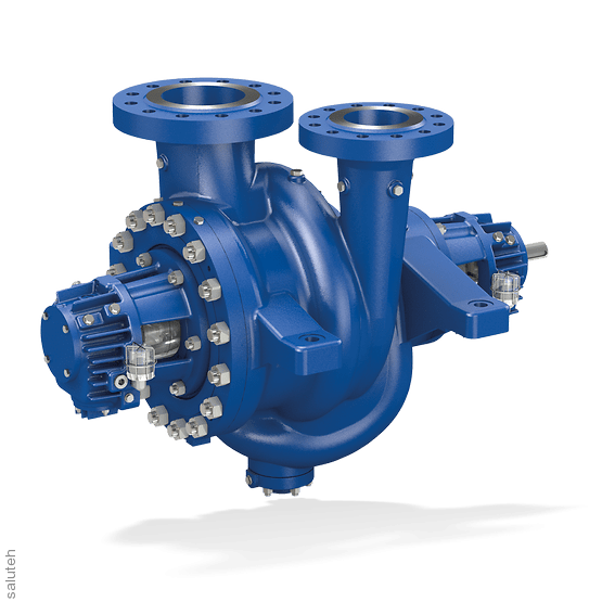 Horizontal Centrifugal Pump RPHb