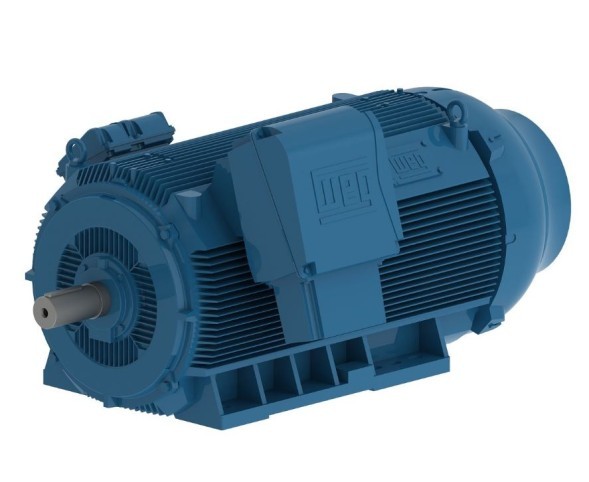 Asynchronous electric motors WEG HGF