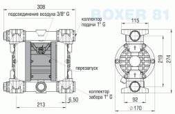 BOXER 81 PVDF Pump