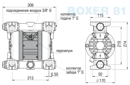 BOXER 81 PVDF Pump