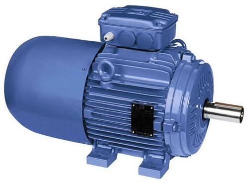 Asynchronous electric motors WEG W21