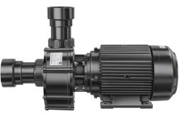 Speck Pumpen BADU 21-81 AK Centrifugal Pumps