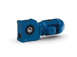 SUS 507A IA90 W22XdCE 90S/L i=37.33 Cylinder-worm gear motor explosion protection. 