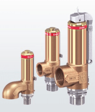Предохранительный клапан (криоген) р/р 1.4404/СС499К (-200°C-+200°C) PN70 (DN10, 2480-tGFO-10-m/f-15/15-PTFE-40bar)