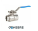 Genebre PN63 ball valve body: stainless steel.steel 1.4408/1.4408/PTFE, ISO flange, Tmax=+180oC lever