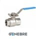 Genebre PN63 ball valve body: stainless steel.steel 1.4408/1.4408/PTFE, ISO flange, Tmax=+180oC lever