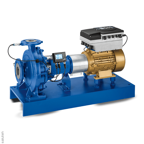 Etanorm Cantilever Pump