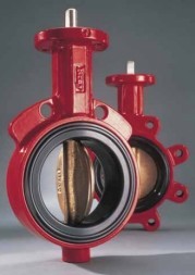 Bray rotary disc shutter with center/eye. (GGG40.3/SS/EPDM) PN16 without drive (DN50 PN16 without drive)