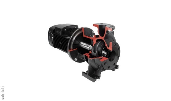 مضخة ناتئ أحادية الكتلة 96580751 طن متري 65-200/183 أ-أ-ب-ب 400 د-2 11 كيلو واط