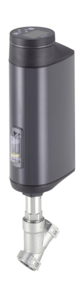 2/2-way inclined seat control Valve with electric motor (300860)