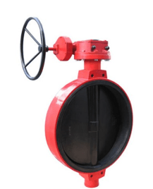 205WE R Disc shutter MF Xurox PN16 GGG40.5/GGG50/EPDM Reducer