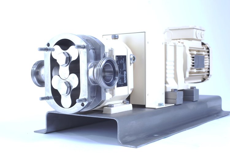 Sivag B100 Rotary Pump