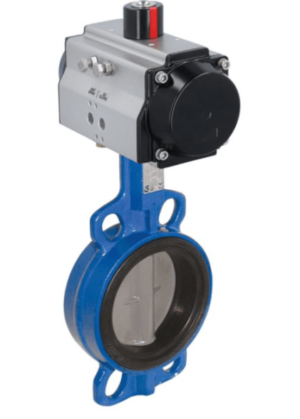 Затвор дисковый Butterfly valve-WA, DN65, with drive-ED, DW55 Cast iron /stainless steel /EPDM, double acting
