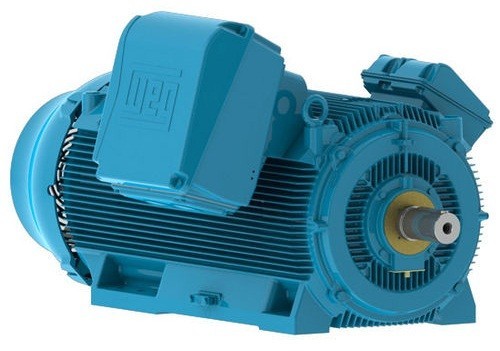 Asynchronous electric motors WEG HGF