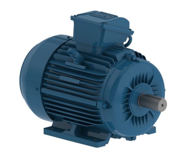 Low-voltage electric motors WEG W22XnCD